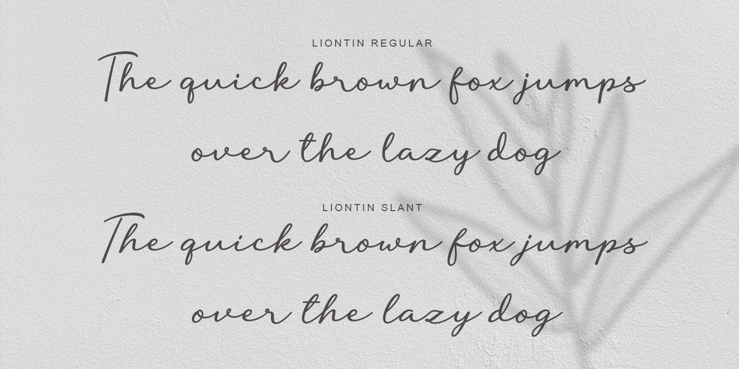 Beispiel einer Liontin Regular-Schriftart